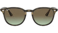 RB4259 731/E8 grey havana