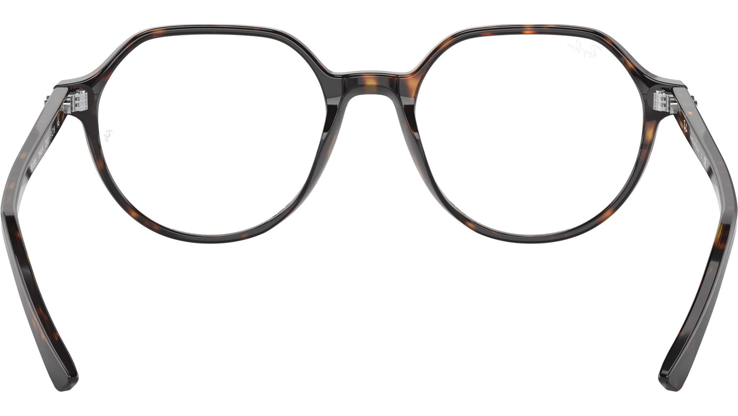 Thalia Optics RB5395 2012