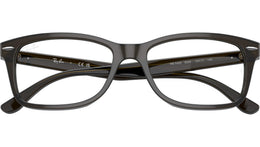 RB5428 Optics 8299