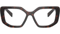PR A04V 16N1O1 Tortoise