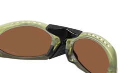 Plantaris OO9437 03