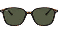 Leonard RB2193 tortoise