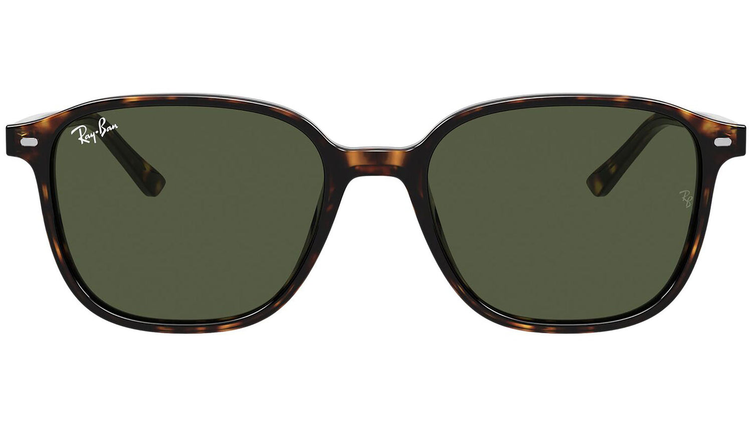 Leonard RB2193 tortoise