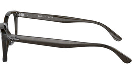 RB5428 Optics 8299