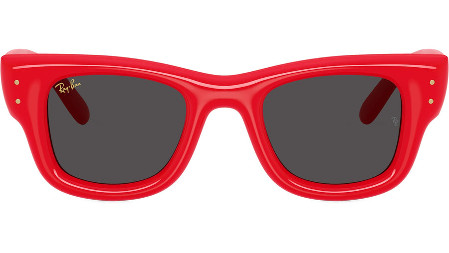 Wayfarer Puffer RB4940 683187