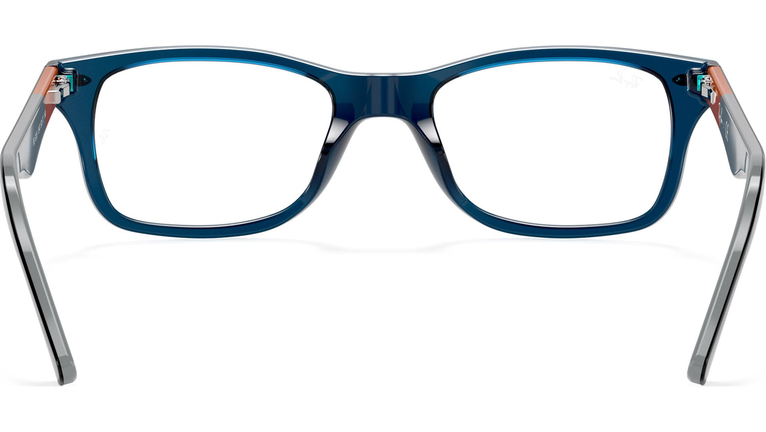 RB5228 Optics 5547