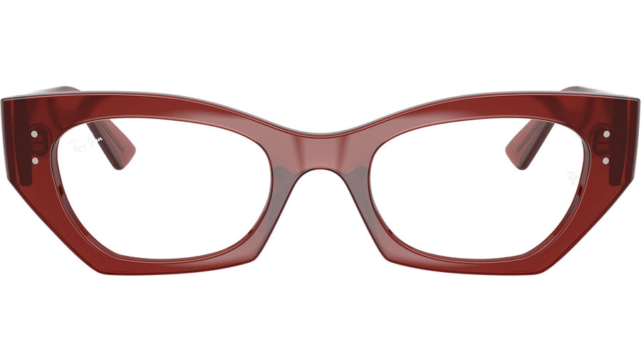 RB7330 Optics 8436