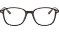 Leonard Optics RB5393 2012