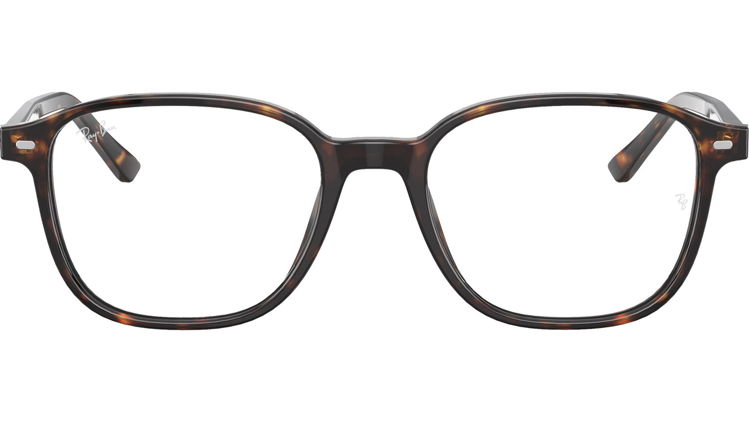 Leonard Optics RB5393 2012
