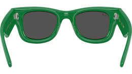 Wayfarer Puffer RB4940B 685987