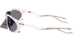 Plantaris OO9437 06