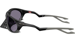 Plantaris OO9437 01