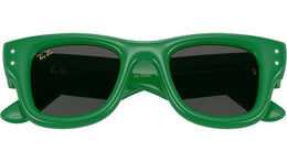 Wayfarer Puffer RB4940B 685987