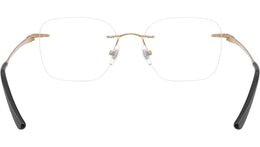 RB8783D Optics 1248