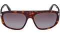 Edward 02 FT1002 52B Tortoise
