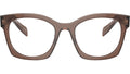PR A05V 17O1O1 Brown