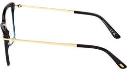 FT6097-B 001