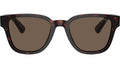 PR A04S 17N08T Tortoise