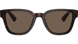 PR A04S 17N08T Tortoise