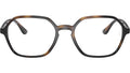 RB4361V Optics 2012