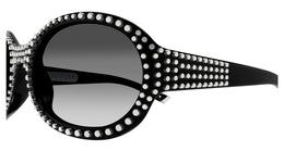 GG2013S 001