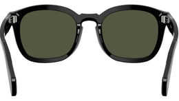 PO0082S 95/31