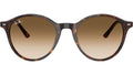 Bernard RB2230 902/51 Havana