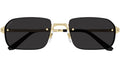 CT0460S 001 Gold Grey