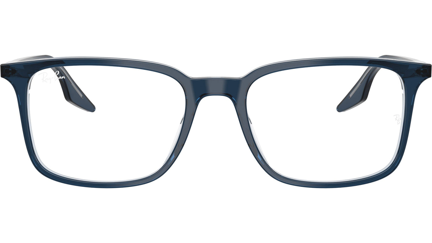 RB5421 Optics 8324