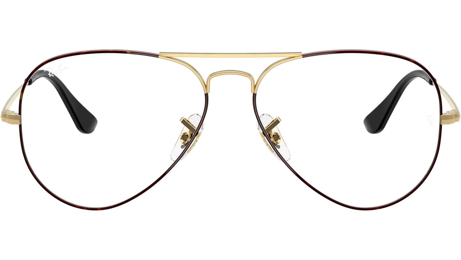 Aviator Optics RB6489 3175