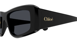 CH0299S 001