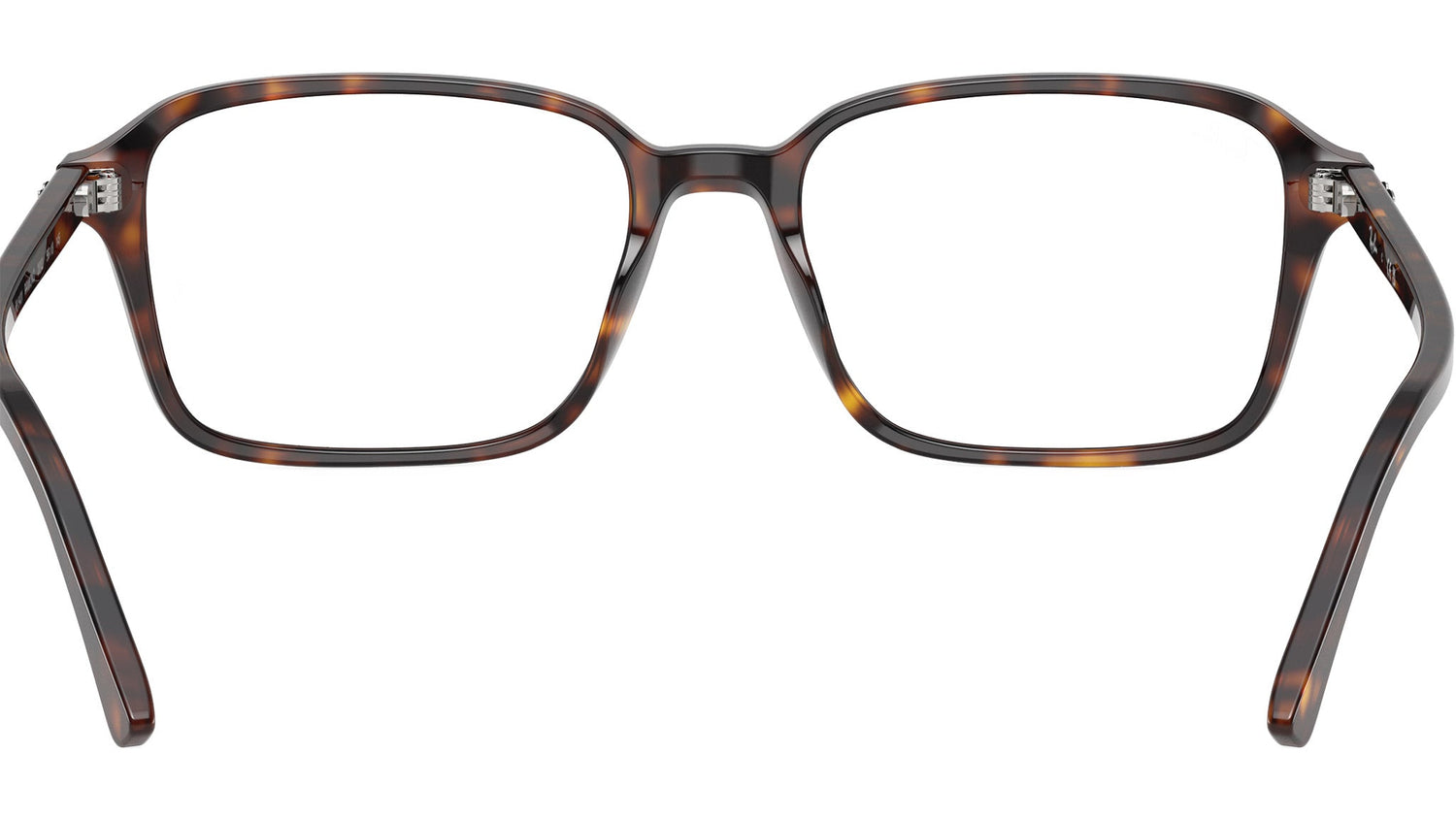 Raimond Optics RB5431 2012