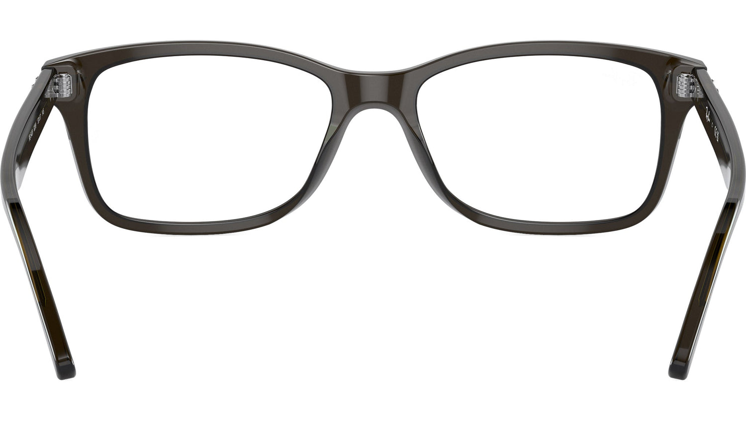 RB5428 Optics 8299