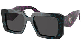 PR 23YS 06Z5S0 teal tortoise