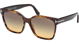 Iris-02 FT1312 55B