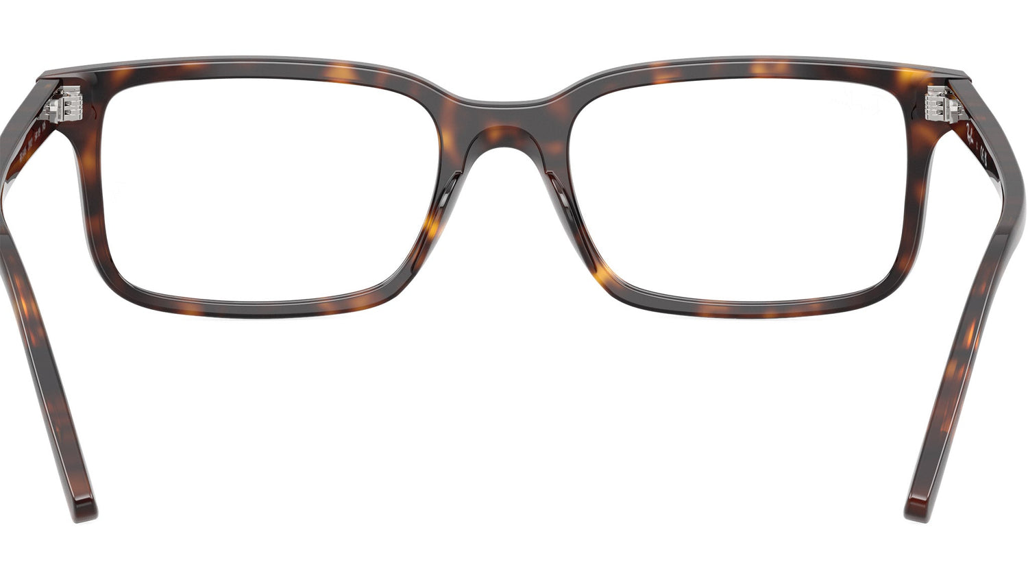 RB5445 Optics 2012