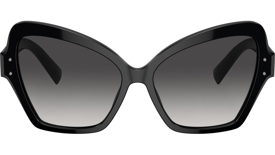 DG 4463 501/8G Black Grey