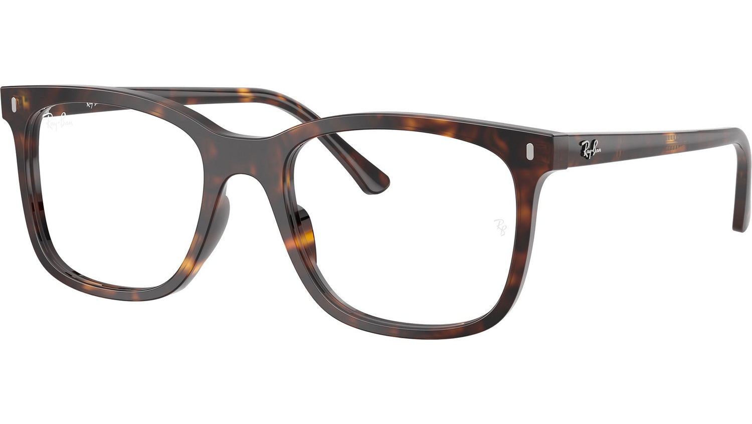 RB5446 Optics 2012