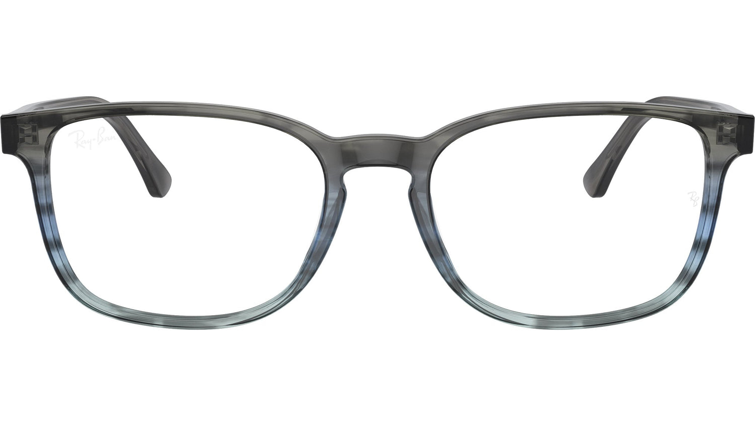 RB5418 Optics 8254