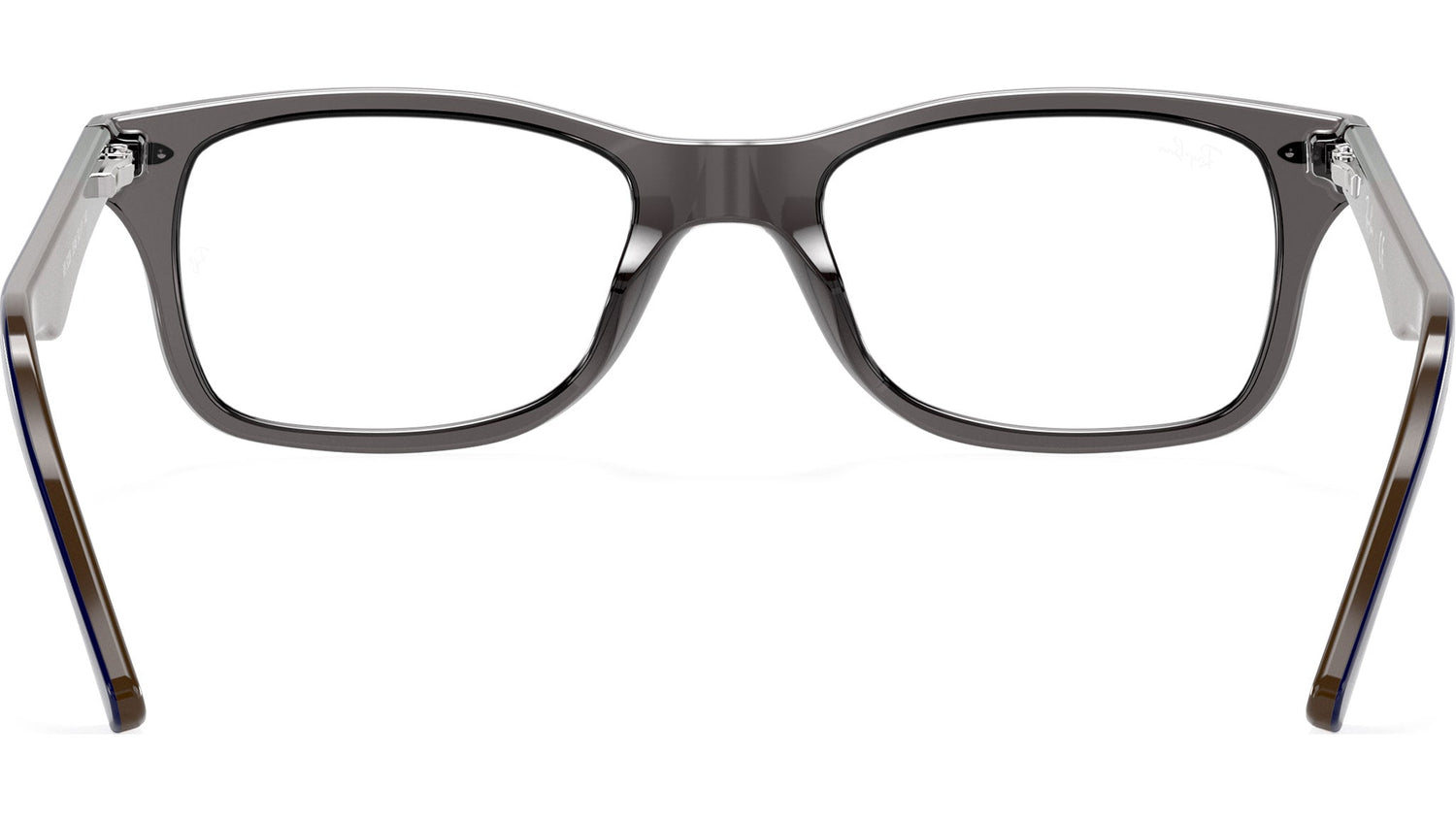 RB5228 Optics 5546