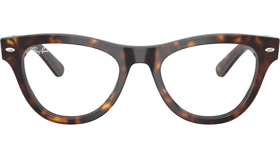 RB5510 Optics 2012