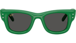 Wayfarer Puffer RB4940B 685987
