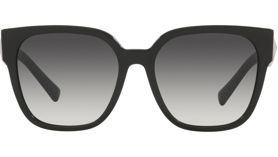 VA4111 50018G black