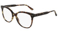BV0121O shiny spotted tortoise