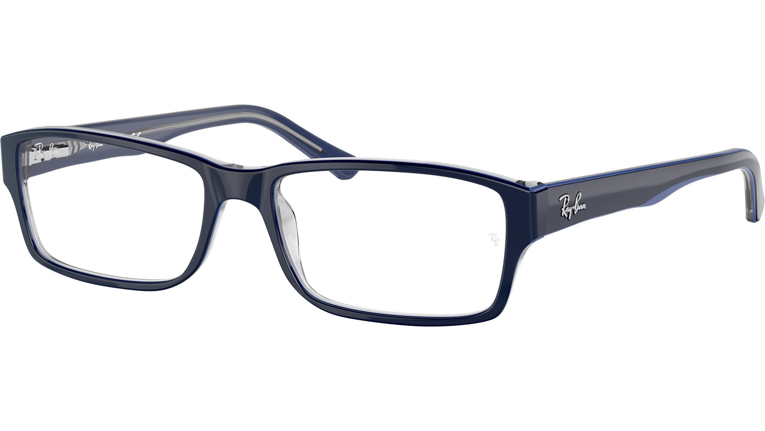 RB5169 Optics 5815