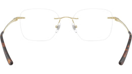RB8783D Optics 1251