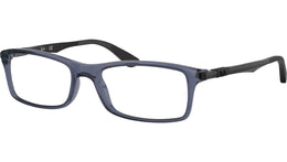 RB7017 Optics 8122