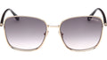 Fern FT1029 28B