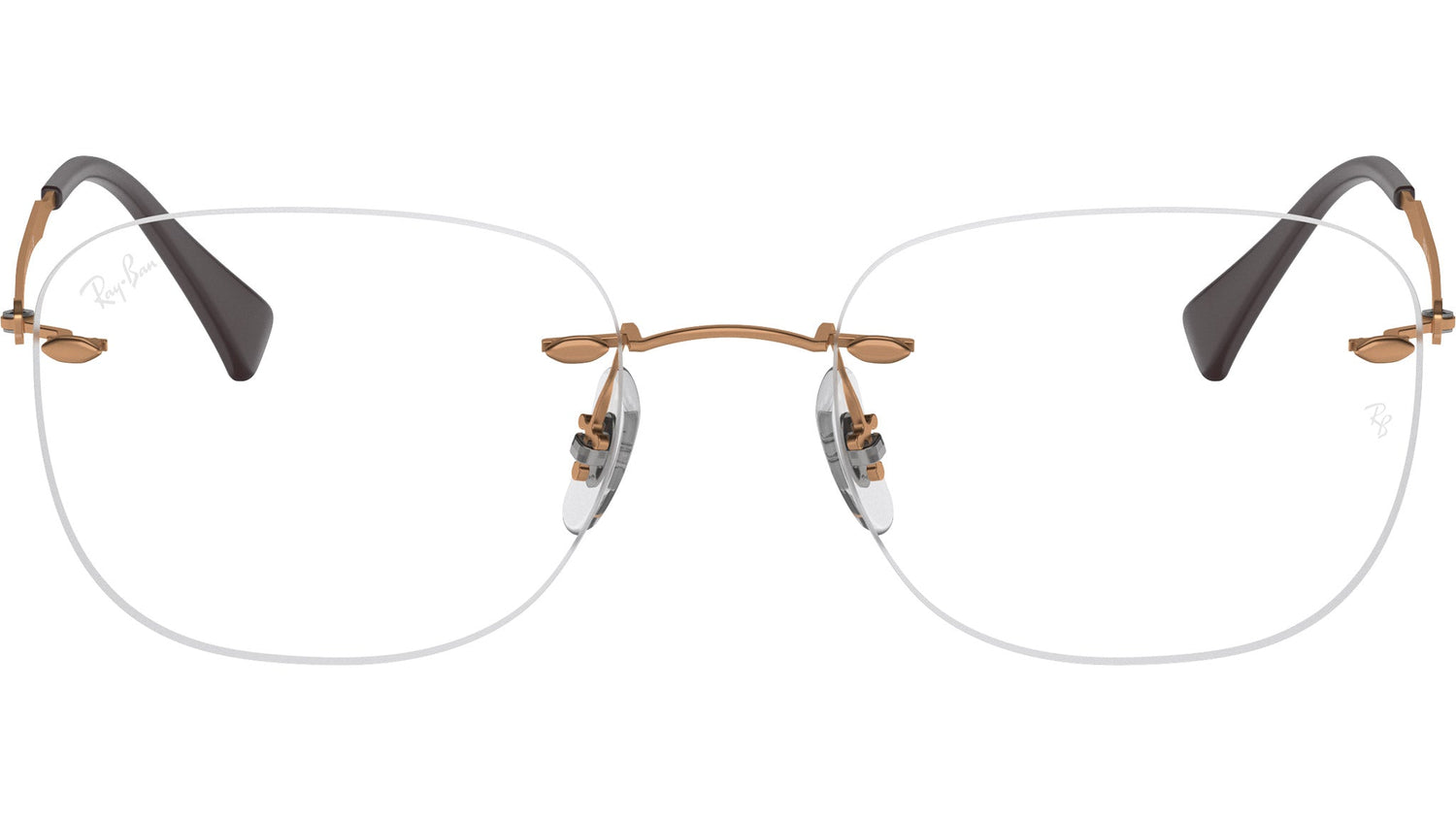 RB8748 Optics 1131