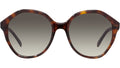 CELINE Havana Geometric Sunglasses